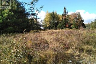 Property for Sale, East Clifford Road, East Clifford, NS