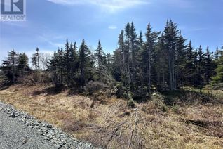 Commercial Land for Sale, 859 Bauline Line, Bauline, NL