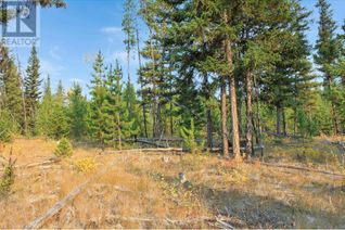 Commercial Land for Sale, Lot 4 Brown Road #PROP, Bridge Lake, BC