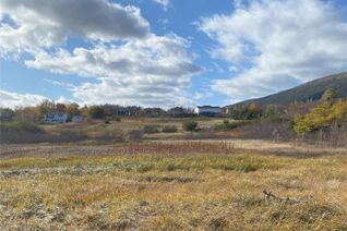 Commercial Land for Sale, 123 Main Street, York Harbour, NL