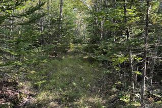 Commercial Land for Sale, Lot Highway 10, Dalhousie, NS