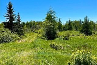 Commercial Land for Sale, 3690 Route 134, Bathurst, NB