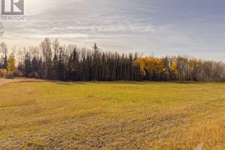 Farm for Sale, Nw-20-79-8-W6 794 Township, Rural Saddle Hills County, AB