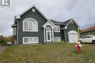 House for Sale, 87 Peddle Drive, Grand Falls Windsor, NL