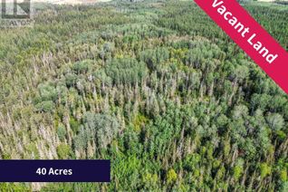 Land for Sale, Currie Con 5 Lot 11, Black River-Matheson, ON