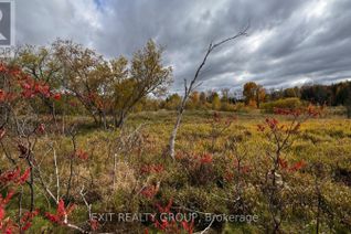 Commercial Land for Sale, 1989 Elm Tree Road, Central Frontenac (Frontenac Centre), ON