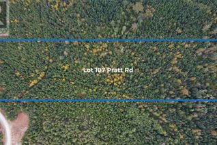 Property for Sale, Lot 107 Pratt Rd, Hilliers, BC