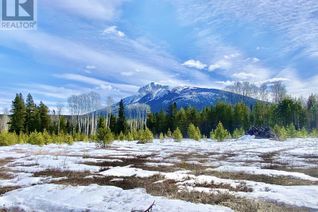 Land for Sale, 185 Sunnyview Road, Valemount, BC