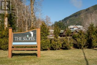 Vacant Residential Land for Sale, 464 Mountain View Dr, Lake Cowichan, BC