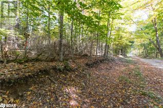 Commercial Land for Sale, 0 Lynx Lake Road, Huntsville, ON