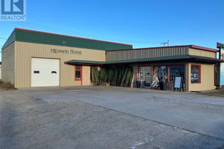 Commercial/Retail Property for Sale, 217 1st Avenue W, Nipawin, SK