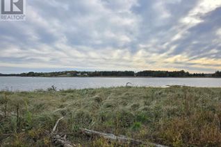 Property for Sale, Lot 1n Masons Beach Road, First South, NS