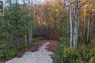 Land for Sale, Ptlt 17 Grey Road 17, Georgian Bluffs, ON