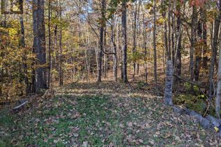 Land for Sale, 0 Flinton Road, Tweed, ON