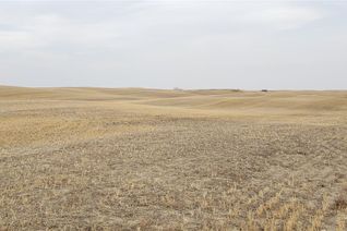 Farm for Sale, Palmer North Land, Sutton Rm No. 103, SK