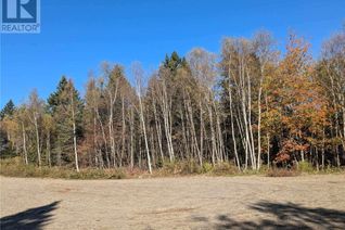 Commercial Land for Sale, Millstream Court, Campobello Island, NB