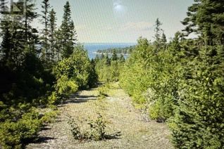 Commercial Land for Sale, 0 Highway 16, Queensport, NS