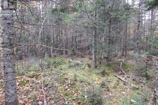 Land for Sale, Ridgeway Avenue, Grand Bay-Westfield, NB