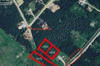 Property for Sale, 48a Juniper Avenue, CORMACK, NL