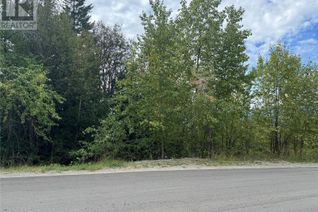 Vacant Residential Land for Sale, Lot 389 Anglemont Way, Anglemont, BC