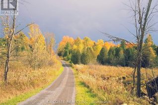 Land for Sale, 0000 County 43 Road, North Glengarry, ON