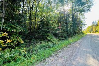 Property for Sale, Lot 28 Part 1 Chiswick Line, Chisholm, ON