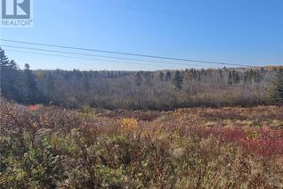 Land for Sale, 33.8 Acres Riverside Drive, Bathurst, NB