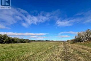 Land for Sale, On Township Road 454, Rural Flagstaff County, AB