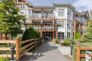 Condo Apartment for Sale, 14605 Mcdougall Drive #303, Surrey, BC