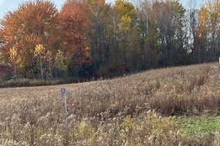 Commercial Land for Sale, 243 Arthur Street, Morris-Turnberry (Wingham), ON