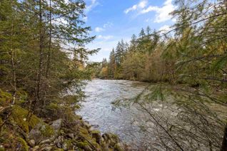 Land for Sale, 19602 Silver Skagit Road, Hope, BC