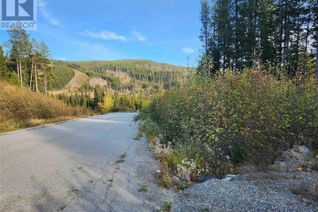 Land for Sale, Lot 21 Buck Road, Oliver, BC