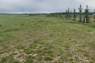 Land for Sale, 254063 Twp Rd 424, Rural Ponoka County, AB