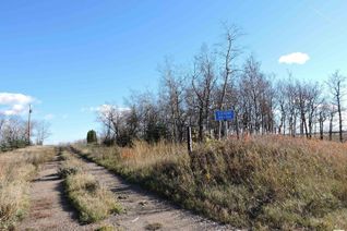 Land for Sale, 530081 Hwy 834, Rural Lamont County, AB