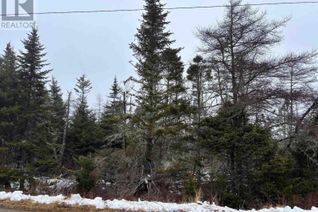 Property for Sale, No 7 Highway, Necum Teuch, NS