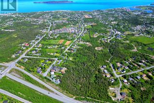 Land for Sale, 221 Peachytown Road, Coneption Bay South, NL