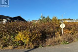 Commercial Land for Sale, 53 Badcock Boulevard, Bay Roberts, NL