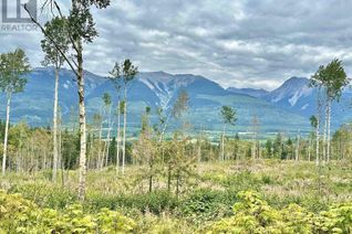 Land for Sale, Shere Lake Road, Valemount, BC