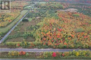 Commercial Land for Sale, Lot Grangeville Road, Harcourt, NB