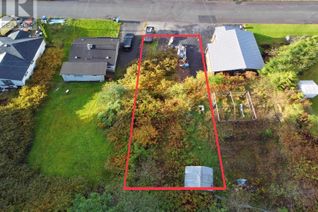 Land for Sale, 5 & 6 E 8th Avenue #LOTS, Prince Rupert, BC