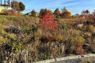 Commercial Land for Sale, 4 Chelsea Place, Bay Roberts, NL