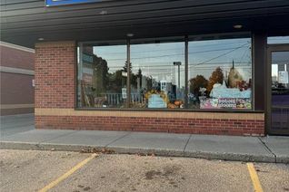 Non-Franchise Business for Sale, 84 Charing Cross Street #10, Brantford, ON