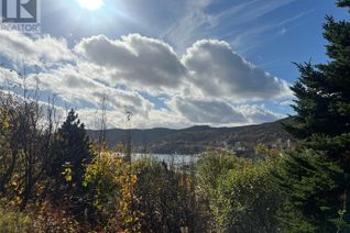 Land for Sale, 35-39 Old Maddox Cove Road, Petty Harbour, Maddox Cove, NL