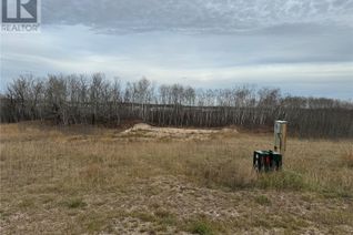 Commercial Land for Sale, Lot 2 Ravine Road, Spiritwood Rm No. 496, SK