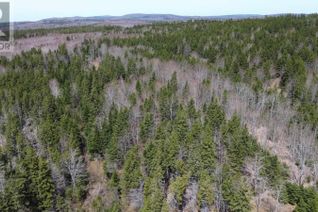 Property for Sale, Lot David Street, Port Hastings, NS