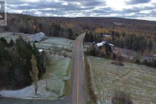 Property for Sale, Acreage Mill Brook Road, Judique North, NS