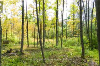 Land for Sale, 3590 Alton Road, South Frontenac (Frontenac South), ON