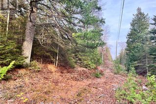 Commercial Land for Sale, N/A Slash Road, Assiginack, ON