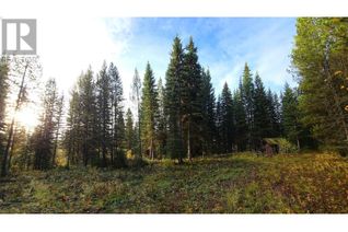 Property for Sale, 12165 Mckinley Trail #DL, Horsefly, BC