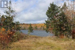 Property for Sale, 259 Bill Berry Road, Princedale, NS